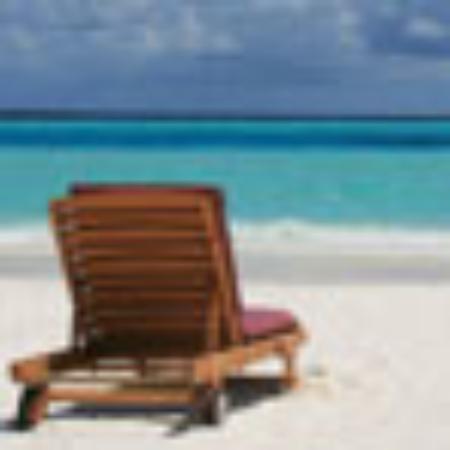 Buzz Seafood and Grill